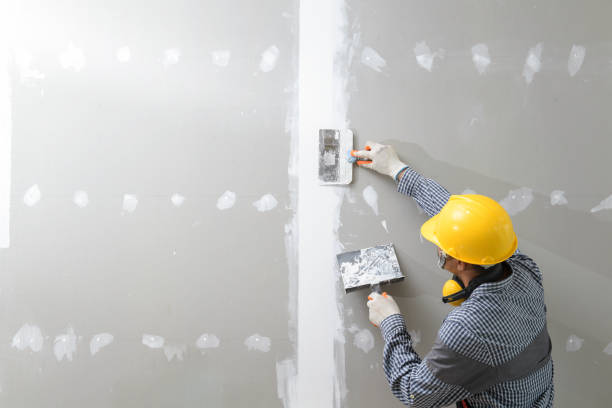 Best Commercial Mold Inspection  in North Great River, NY
