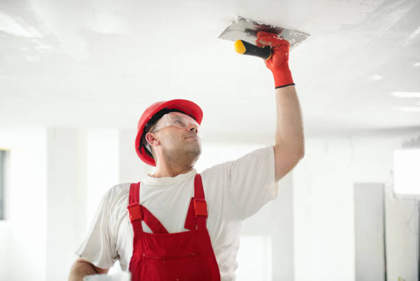 North Great River, NY Mold Removal Company