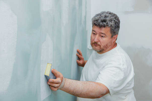 Best Emergency Mold Remediation  in North Great River, NY